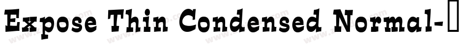 Expose Thin Condensed Normal字体转换